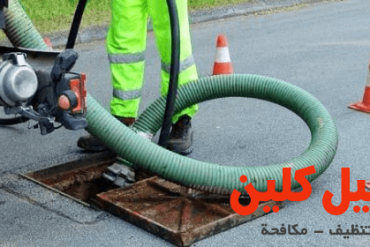 شركة مكافحة حشرات بالرياض